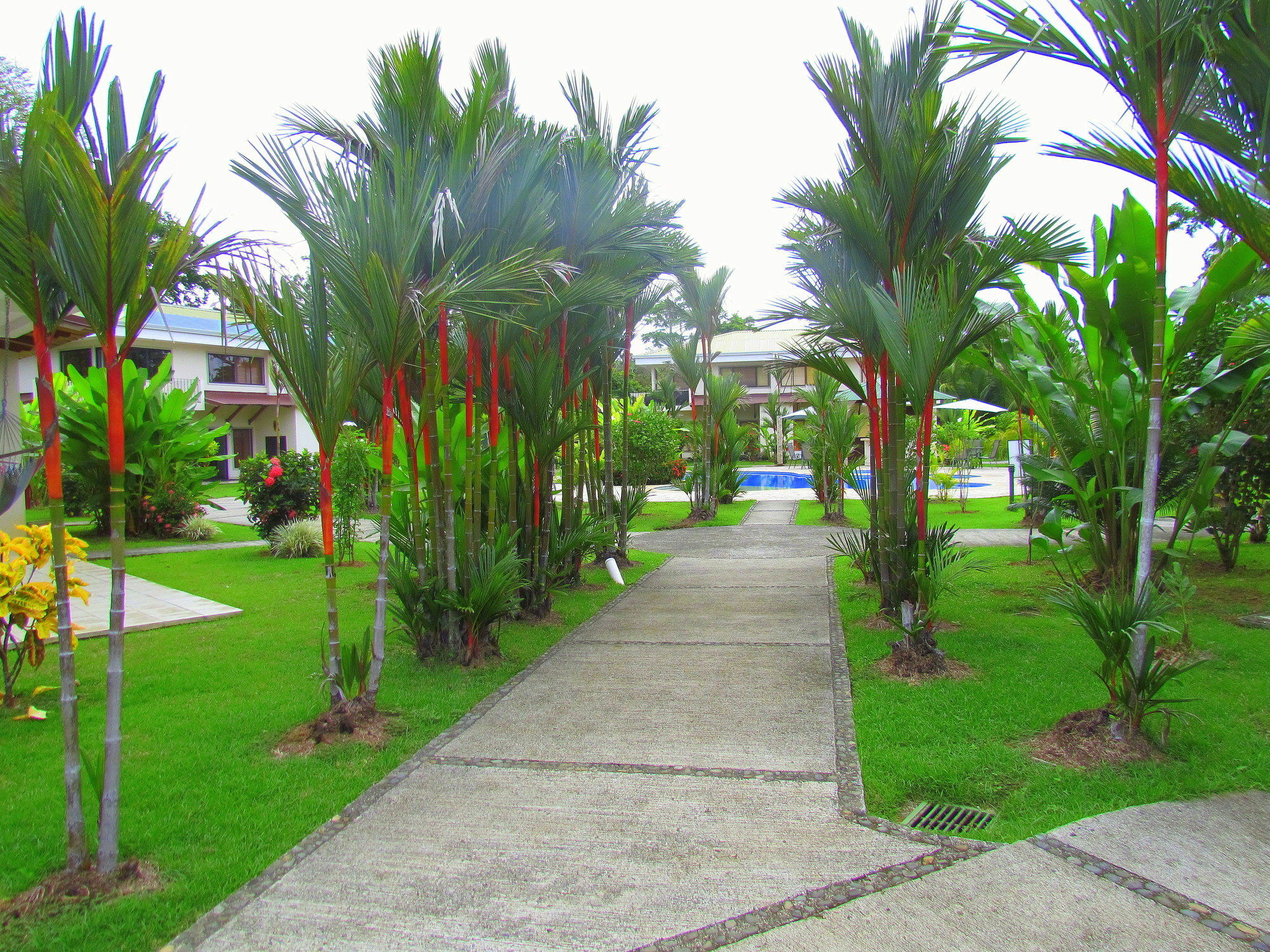 Villas Hacienda Pacifica Quepos Exterior foto